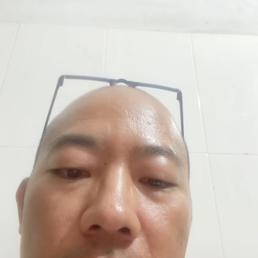 ***自然晒干岩黄连