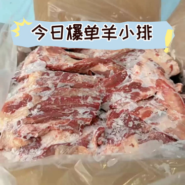 内蒙古精品羊副产品羊小排/诚信经营/量大从优/工厂直发