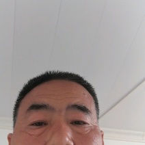 【蜜本南瓜】南阳南瓜金香密本南瓜大量上市质量优口感好