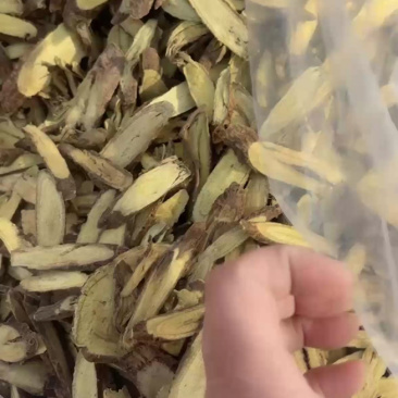 野生甘草片打包发货，纯野生品质！