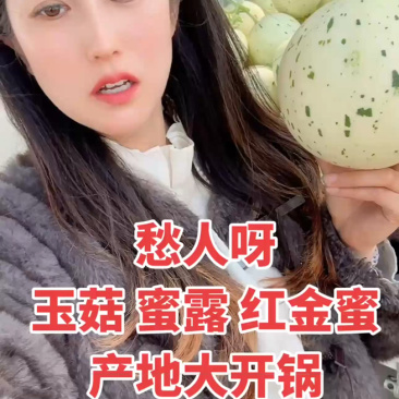 玉姑甜瓜冰清玉姑玉菇蜜瓜冰淇淋瓜各类规格专业代收
