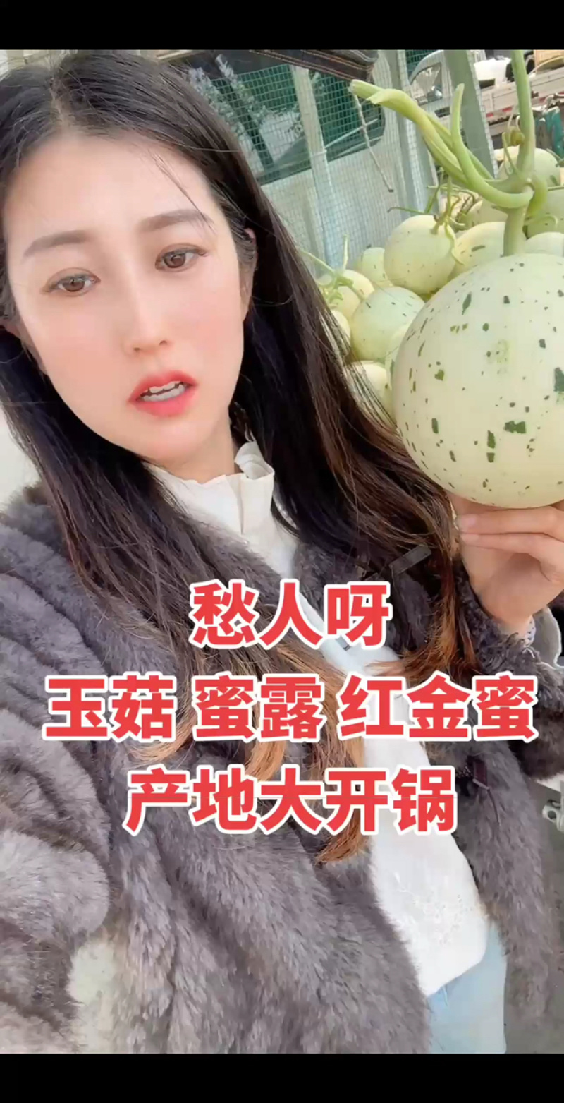玉姑甜瓜冰清玉姑玉菇蜜瓜冰淇淋瓜各类规格专业代收