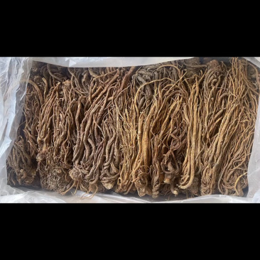 当归地摊电商批发甘肃岷县无硫当归中药材批发当归干