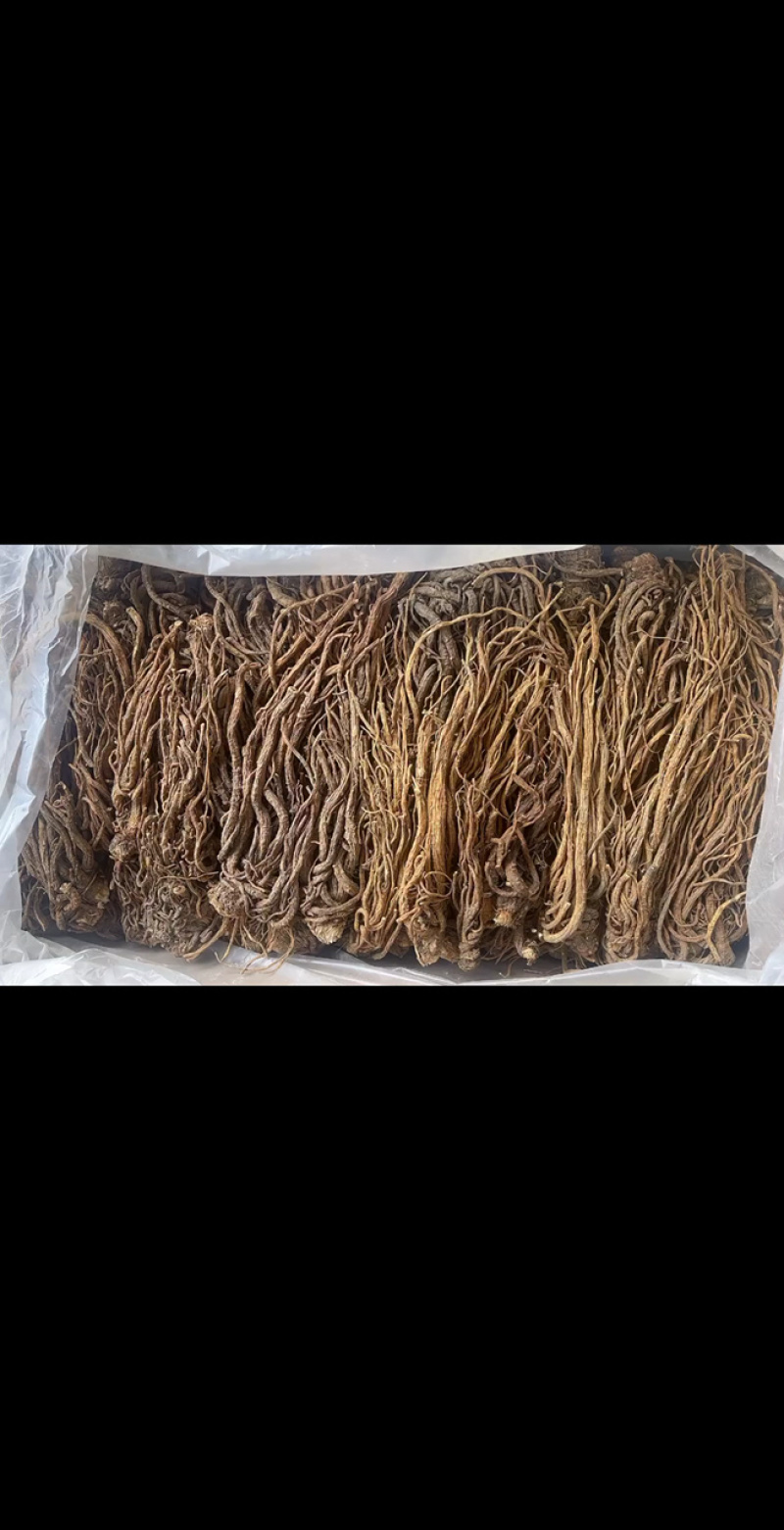 当归地摊电商批发甘肃岷县无硫当归中药材批发当归干