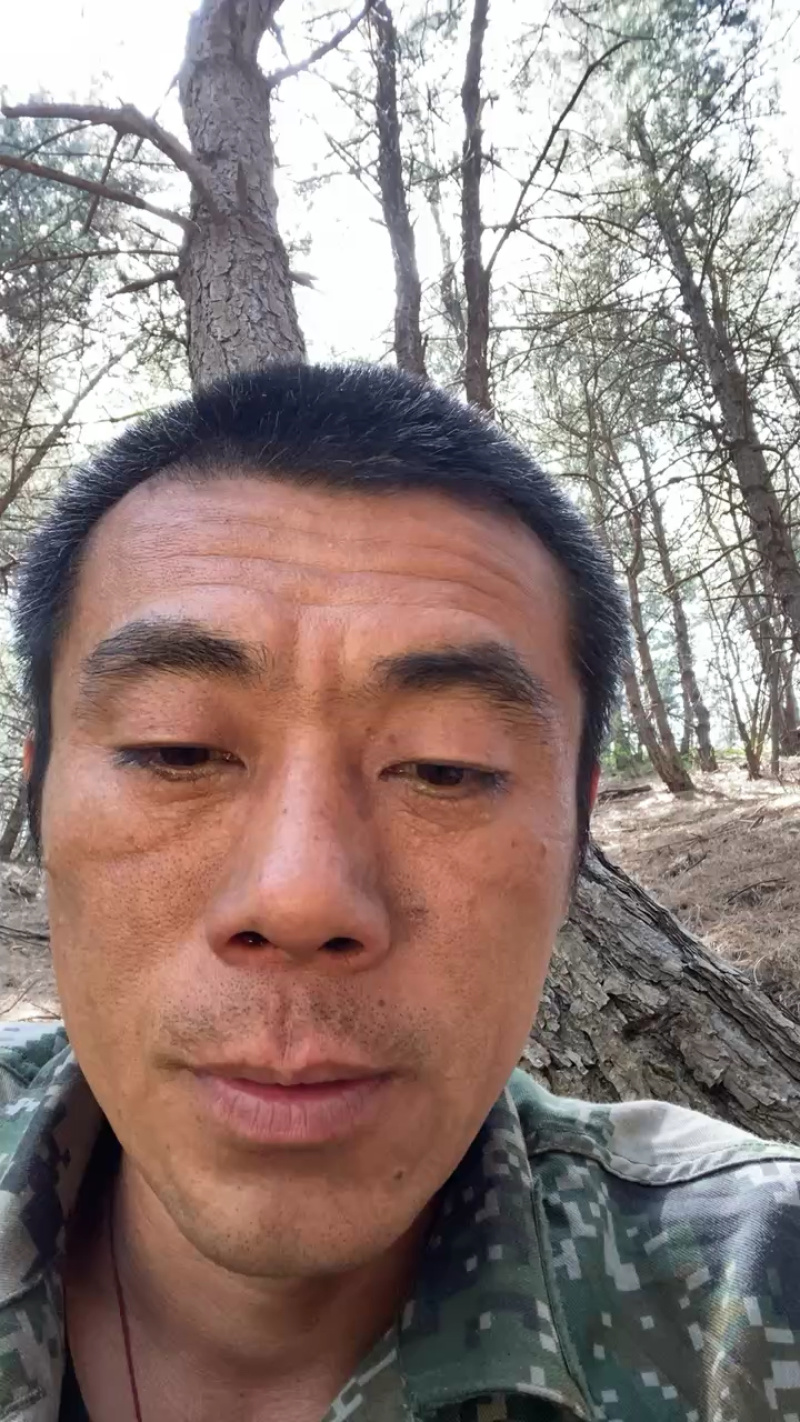 干松针需要随时联系我