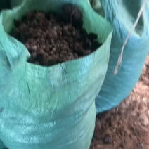 自然升温风干颗粒羊粪