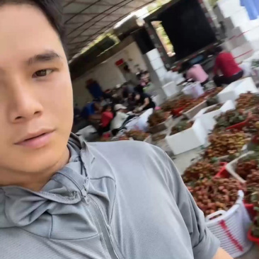 荔枝，科技一号