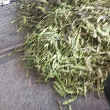 精品油豆，大量上市，价格美丽，口感丰富，营养健康