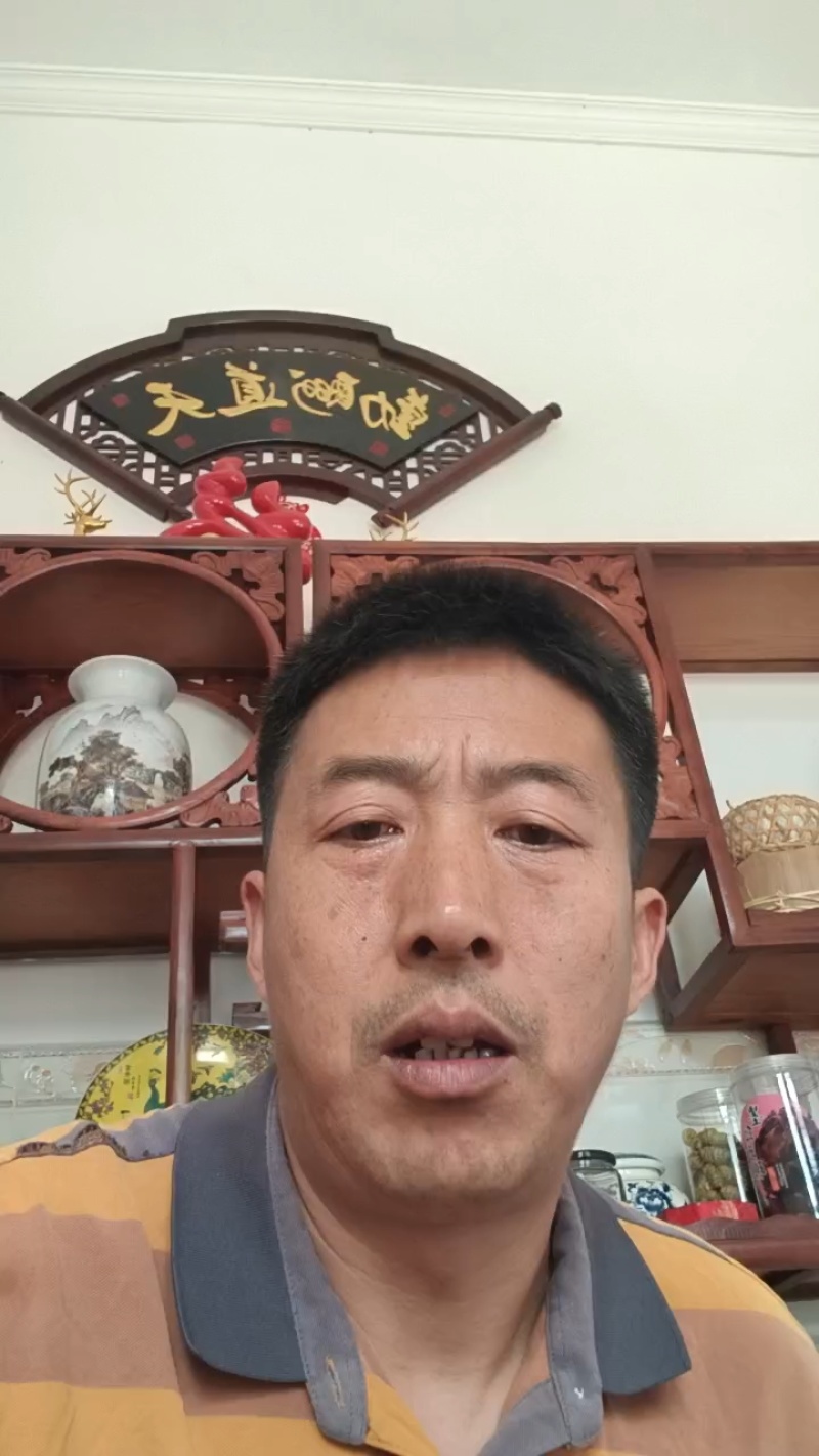 稻城松茸
