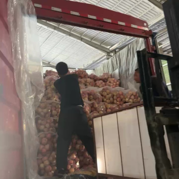 红富士苹果口感脆甜品质保障，货量充足，欢迎全国各地老板采购