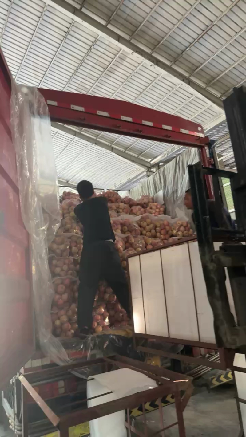 红富士苹果口感脆甜品质保障，货量充足，欢迎全国各地老板采购