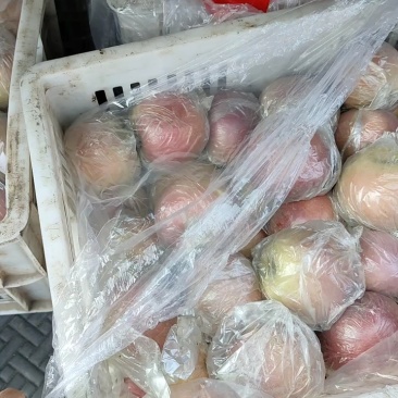 【推荐】精品红富士苹果，山东苹果，大量有货，货源直发