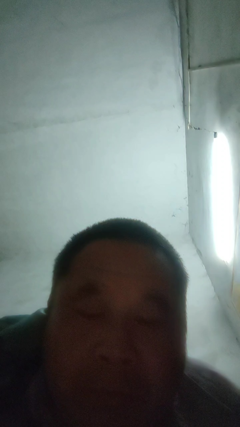 万亩紫惠槐基地直供现要现起欢迎合作来实地考察