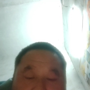 刺槐苗0.4—6基地直发刺槐成活率高常年供应，量大从优。