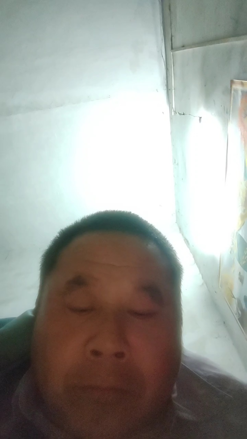 刺槐苗0.4—6基地直发刺槐成活率高常年供应，量大从优。