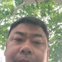 白萝卜