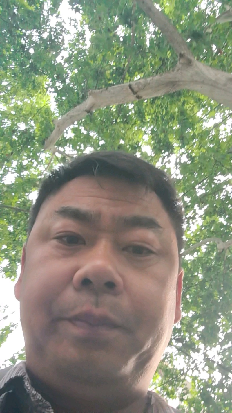 白萝卜