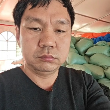 【推荐】羊栖菜规格齐全价格优惠支持视频看货欢迎采购