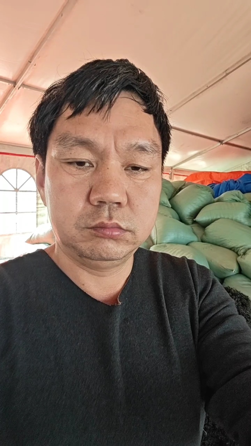 【推荐】羊栖菜规格齐全价格优惠支持视频看货欢迎采购