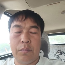 精品白萝卜可供市场食堂商超需要的联系我