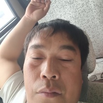 (精品菠菜)一手货产地直发，品质保证加工厂食堂市场