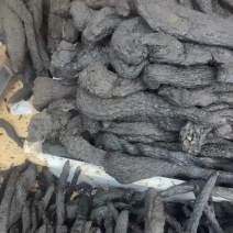 新疆肉苁蓉个子正品***原生态无硫熏滋补养生