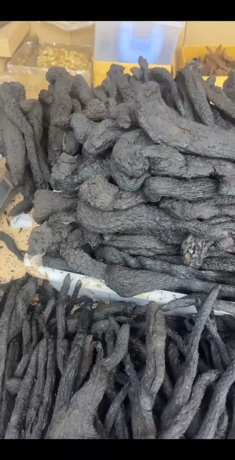 新疆肉苁蓉个子正品***原生态无硫熏滋补养生