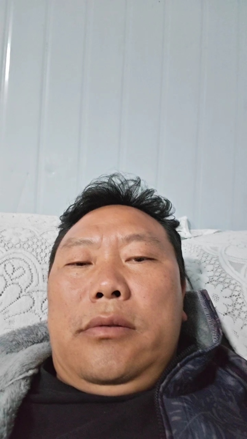 通草老桩苗预订开贵州通草苗技术指导产地直销欢迎考察