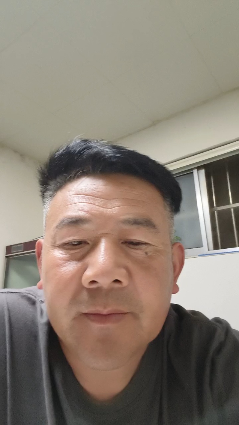 北陆蓝莓苗新品种L25、F6、L11钵苗地栽苗大量有货