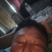 纸加膜红富士苹果