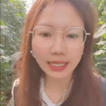 【盼达农业】五彩超甜千禧圣女果，基地直供