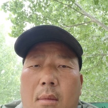 邯郸油菜河北产地直发保质保量大量有货全国代发