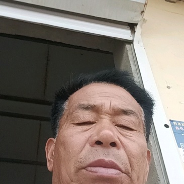 纯黄心货，路南还有二十亩！