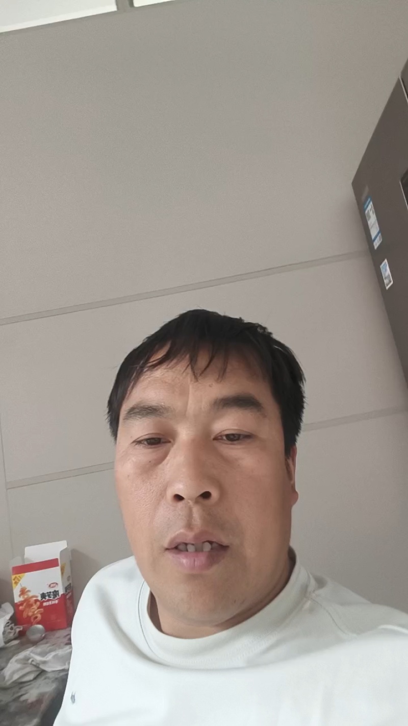精品茴香苗产地直发一手货源质量保证！