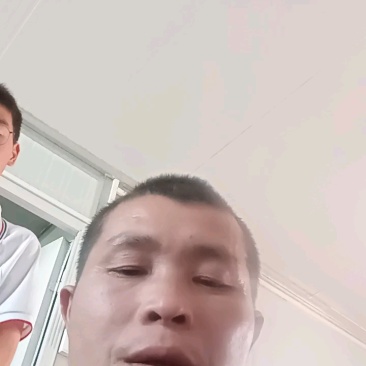 【推荐】广东梅州艾叶批发/视频看货/品质保证/诚信经营