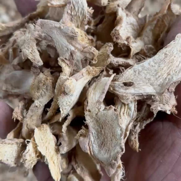 云南无硫小黄姜片小黄姜老母姜片干姜片
