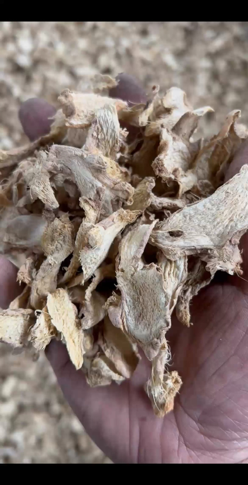 云南无硫小黄姜片小黄姜老母姜片干姜片