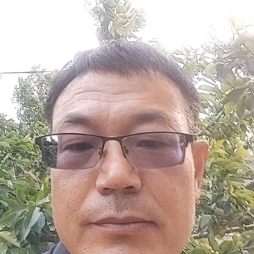 杏子干原味***自然口感酸甜爽口