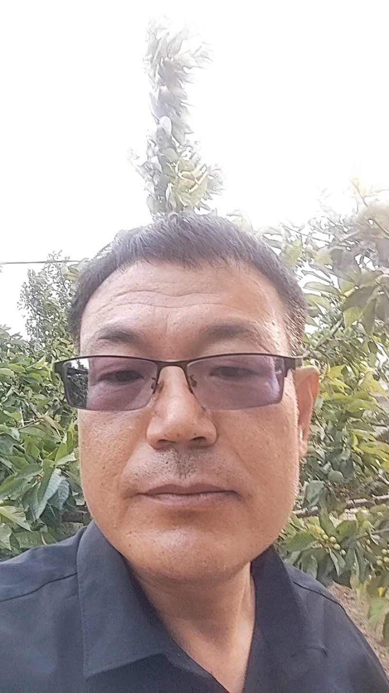 杏子干原味***自然口感酸甜爽口