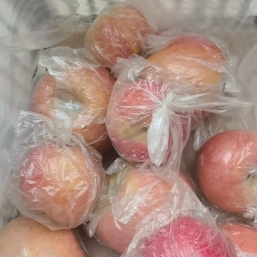 （精）山西运城临猗高原冰糖心丑苹果口感甜脆，原产地直供。