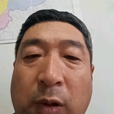 沾化冬枣苗枣树苗山东沾化枣树苗果粒大耐运输产量高欢迎电联