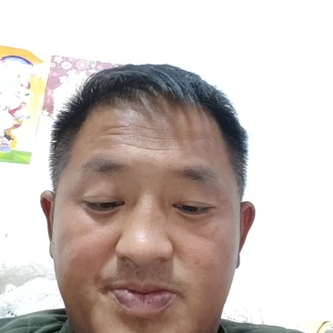 青州秋季黄心大白菜大量上实力代办量大价格低电联