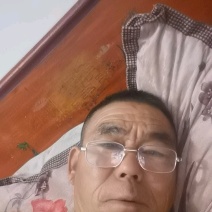 安徽砀山梨青皇冠梨新鲜梨子欢迎选购电商市场货