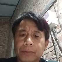 鸡枞菌干品基地直供