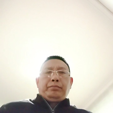 四川黄柏苗基地直发规格齐全量大从优