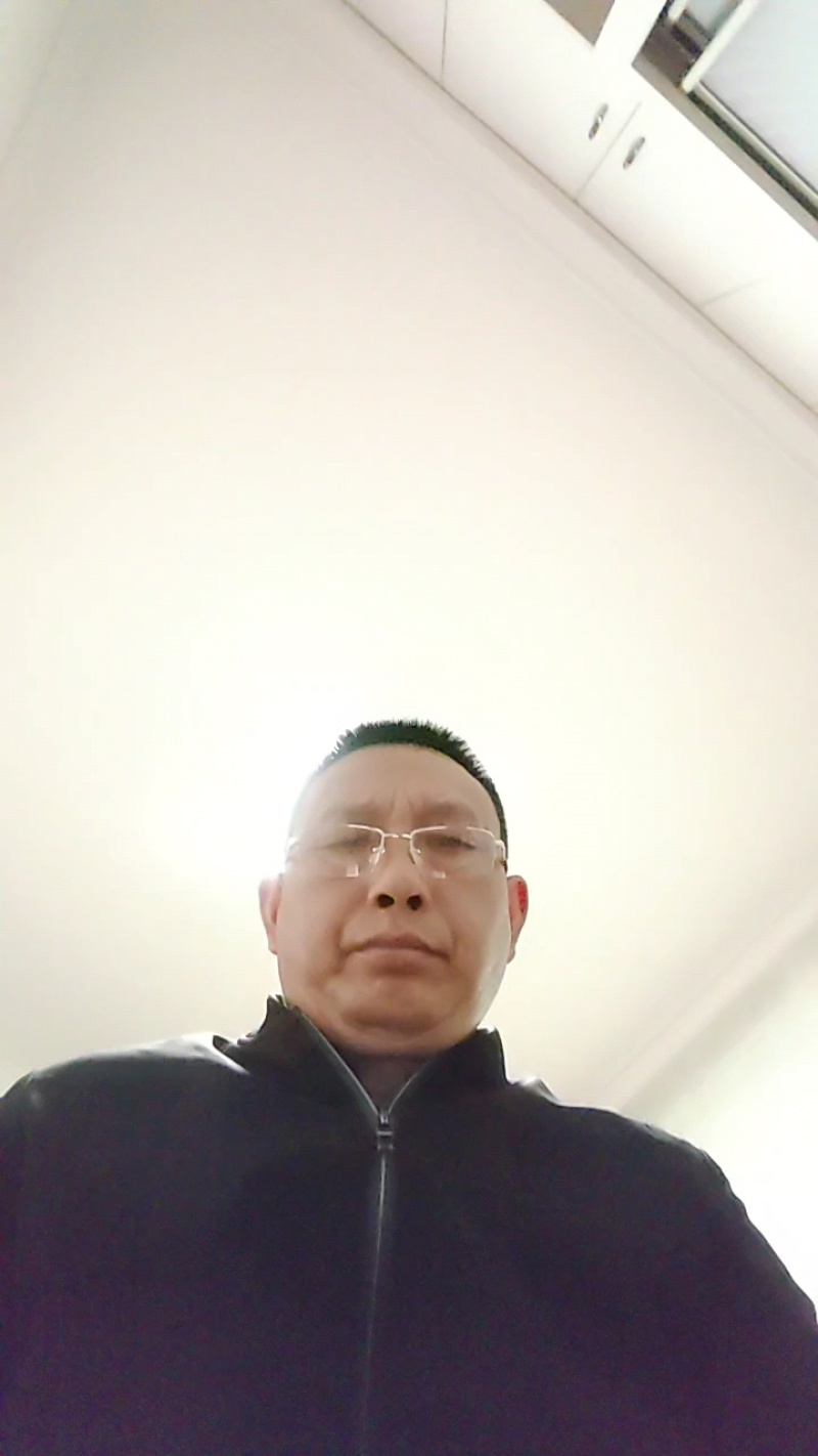 四川黄柏苗基地直发规格齐全量大从优
