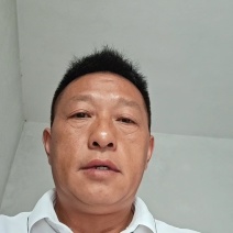 贵州野生淫羊藿