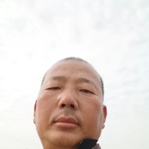 邯郸甘蓝产地直发保质保量大量有货全国代发欢迎选购