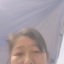 4月16日滨州沾化，黄花鱼有货，老板联系！