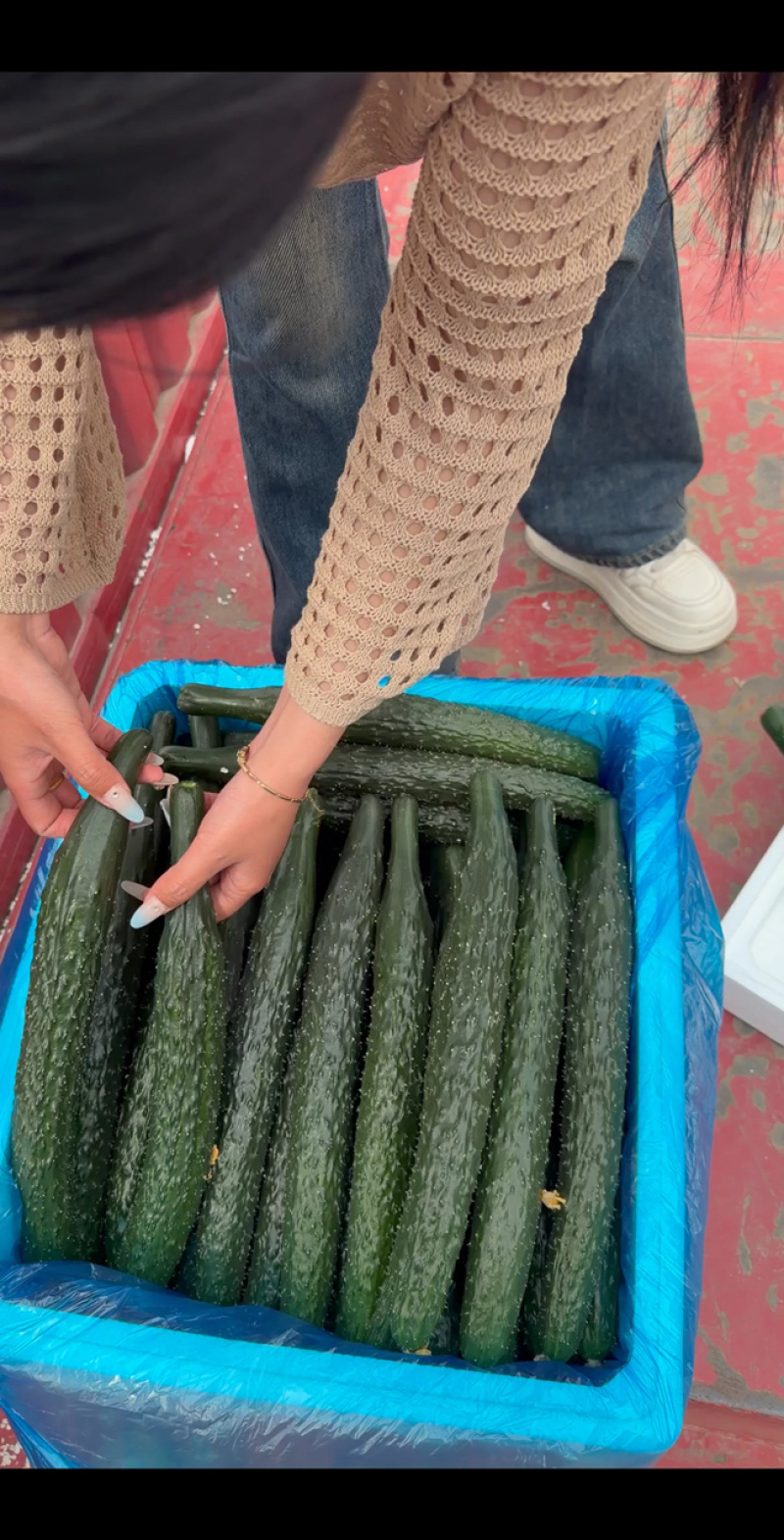 夏邑密刺黄瓜，河南黄瓜，大量供应电商市场